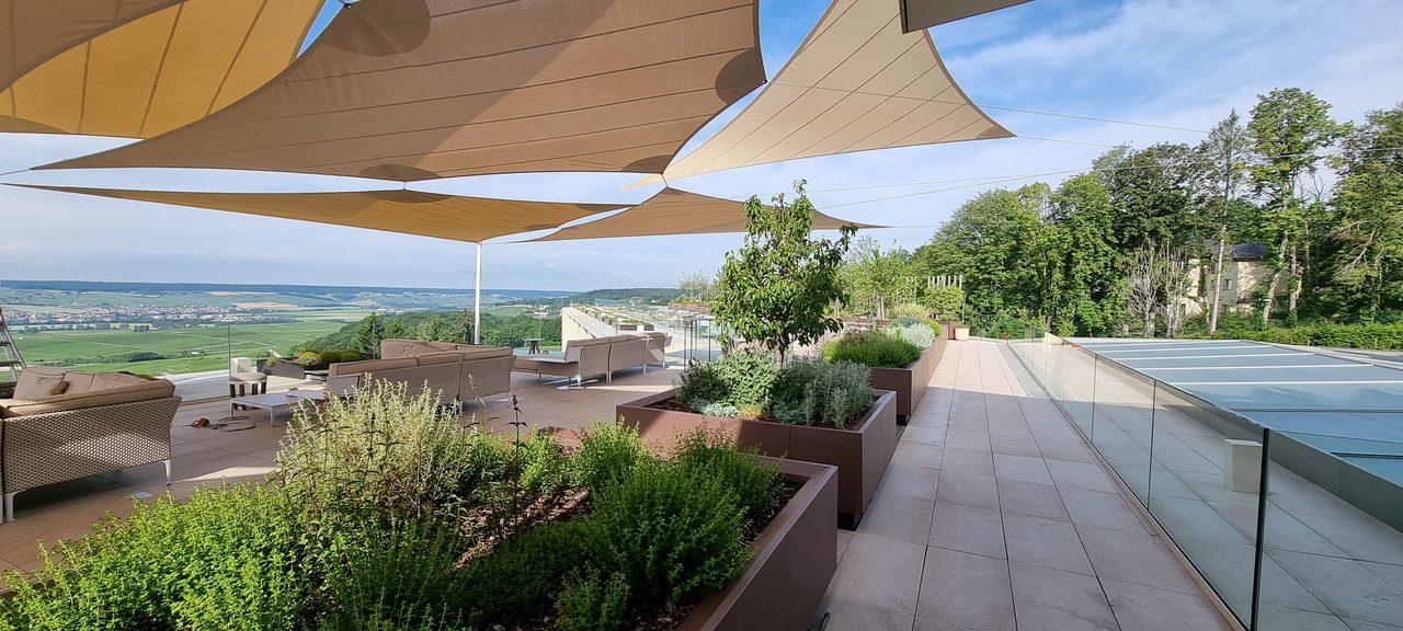 Sand-coloured sails above the vines, Champagne